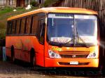 Maxibus Dolphin Class / Mercedes Benz OF-1721 / Thiele