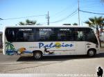 Neobus Thunder + / Mercedes Benz LO-915 / Palacios