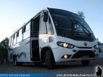 Marcopolo Senior / Mercedes Benz LO-915 / Buses Puma