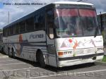 Mercedes Benz O-371 RSD / Ilfa Wen