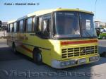 Nielson Diplomata 310 / Mercedes Benz OF-1318 / Terma Tur