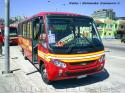 Comil Pia / Mercedes Benz LO-915 / TGP Tour