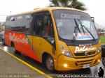 Neobus Thunder + / Mercedes Benz LO-915 / Palacios