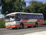 Busscar El Buss 320 / Mercedes Benz OF-1318 / Buses Ojeda