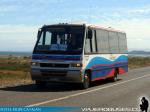 Marcopolo Senior / Mercedes Benz LO-814 / Transportes Nueva Hanga Roa