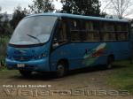 Neobus Thunder + / Agrale MA8.5 / Alfer