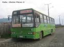 Marcopolo Torino / Mercedes Benz OF-1318 / Isla de Chiloe