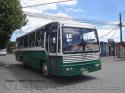 Caio Vitoria / Mercedes Benz OF-1318 / Rural Talca