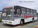 Caio Vitoria / Mercedes Benz OF-1318 / Elqui Bus Palacios