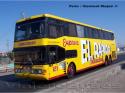 Mega PM / Scania K113 / El Rapido Internacional