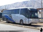 Higer KLQ6129 / Camila Bus