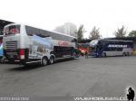 Comil Campione DD / Mercedes Benz O-500RSD  - Volvo B420R / Cata Internacional - Nevada