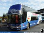 Zhong Tong LCK6148HQS / Chilebus Internacional