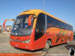 Maxibus Lince 3.45 / Mercedes Benz O-400RSE / Cali Internacional