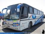 Comil Galleggiante 3.40 / Mercedes Benz O-400RSE / Transp. Internacional Puma