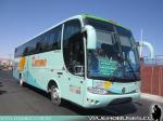 Marcopolo Viaggio 1050 / Mercedes Benz OF-1721 / Turismo La Paloma por Ayca Zuleta Internacional