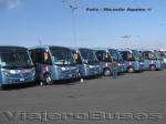 Comil Pia / Mercedes Benz LO-915 / Flores