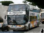 Niccolo Concept 2250 / Mercedes Benz O-500RSD / El Pinguino