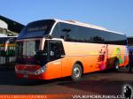 Zhong Tong Navigator LCK6137H / Chilebus