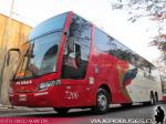 Busscar Jum Buss 380 / Scania K380 / Pluma