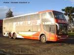 Niccolo Concept 2250 / Mercedes Benz O-400RSD / Albus