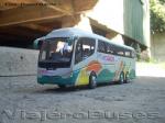 Irizar PB / Scania K420 / Turibus -  Propietario: Daniel Barria