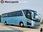 Marcopolo Viaggio G7 P1050 - Chino / Catalogo Exhibición