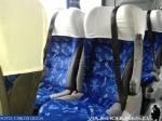 Asiento Semi Cama - Marcopolo Viaggio G7 1050 / Buses Cejer