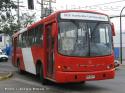 Maxibus Dolphin / Mercedes Benz OH-1418 / Alimentador B19