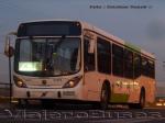 Flota de Buses apoyo a Zona H