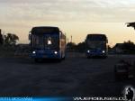 Flota de Buses Alsacia