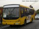 Caio Apache STD / Mercedes Benz OH-1115L SB / Alimentador D 15