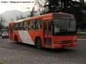 Marcopolo Torino GV / Volvo B10M / Alimentador C07