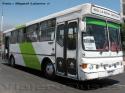 Metalpar Petrohue 2000 / Mercedes Benz OH-1420 / Troncal 403c