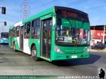 Caio Mondego / Mercedes Benz O-500U / Troncal 345