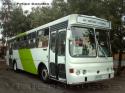 Metalpar Petrohue 2000 / Mercedes Benz OH-1420 / Linea 306