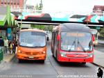 Neobus Neobus Thunder+ & Mega BRS / Mercedes Benz LO-915 & Volvo B7R / Alimentador C18 - C20