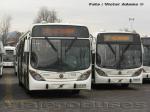 Marcopolo Gran Viale / Volvo B7R / Troncal 201