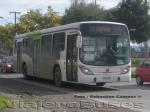 Marcopolo Gran Viale / Volvo B7R / Troncal 1