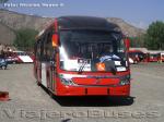 Neobus Mega BRS / Volvo B7R / Alimentador B16