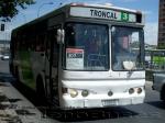 Metalpar Petrohue 2000 / Mercedes Benz OH-1420 / Troncal 307