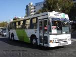 Marcopolo Torino GV / Volvo B10M / Troncal 303e