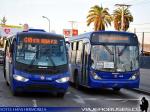 Unidades Marcopolo Senior - Gran Viale / Volvo B7RLE - Mercedes Benz LO-915 / Alimentador G18 - G16