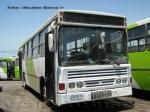 Busscar Urbanus / Mercedes Benz OF-1318 / Troncal 100´s
