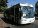 BUsscar Urbanuss Pluss / Mercedes Benz O-500U / Troncal 505