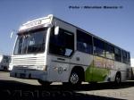 Caio Vitoria / Mercedes Benz OH-1420 / Troncal 4