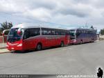 Unidades Irizar / Buses Fernández