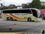 Neobus New Road N10 380 / Scania K400 / Pullman Austral