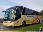 Neobus New Road N10 380 / Scania K400 / Pullman Austral