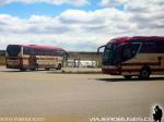 Mascarello Roma R4 / Scania K360 / Buses Fernández